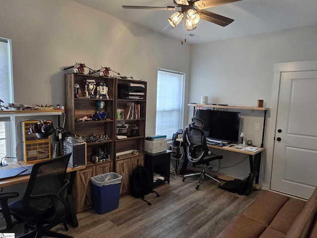 office featuring ceiling fan, a healthy amount of sunlight, and hardwood / wood-style flooring