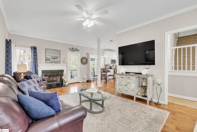 living room featuring crown molding, ceiling fan with notable chandelier, and hardwood / wood-style flooring