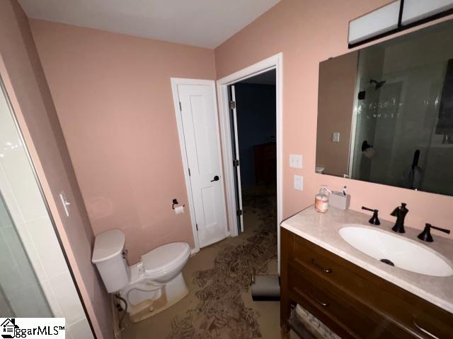 bathroom with vanity, toilet, and a shower with shower door