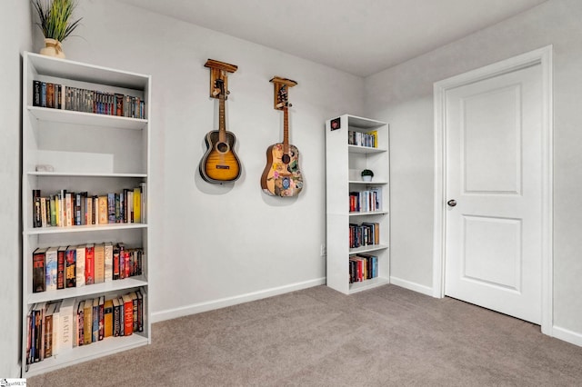 miscellaneous room with light colored carpet