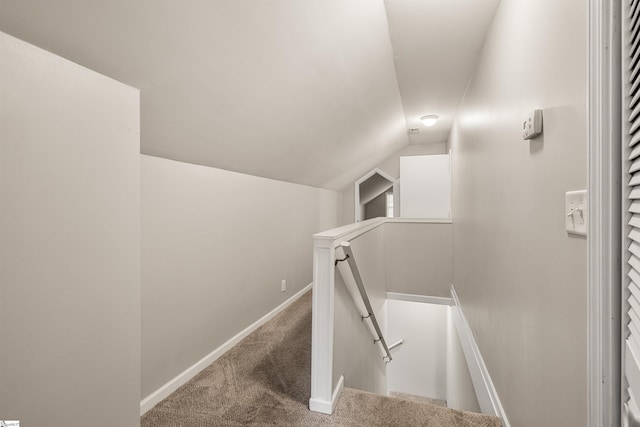 stairway featuring carpet and vaulted ceiling