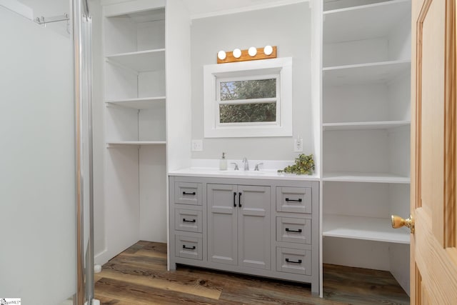 bathroom featuring hardwood / wood-style floors and vanity