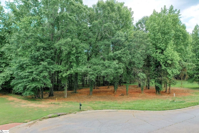 Listing photo 3 for 470 Greylogs Ln Lot 3, Spartanburg SC 29302