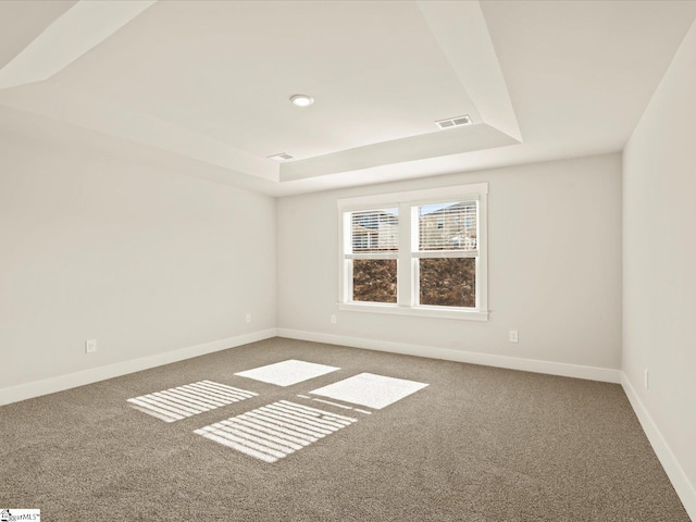 spare room featuring a raised ceiling and carpet floors