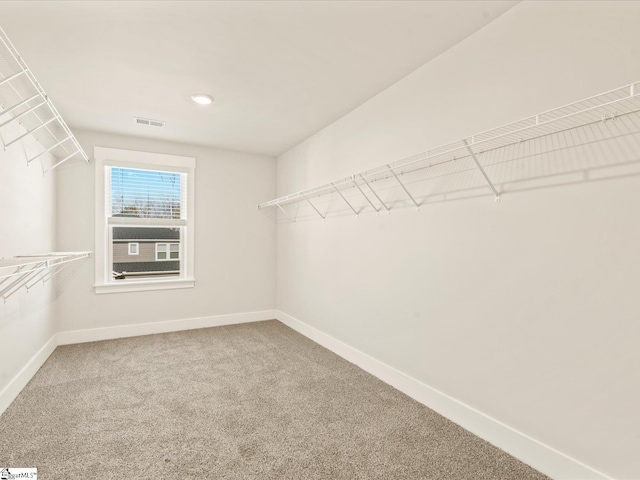 walk in closet featuring carpet floors