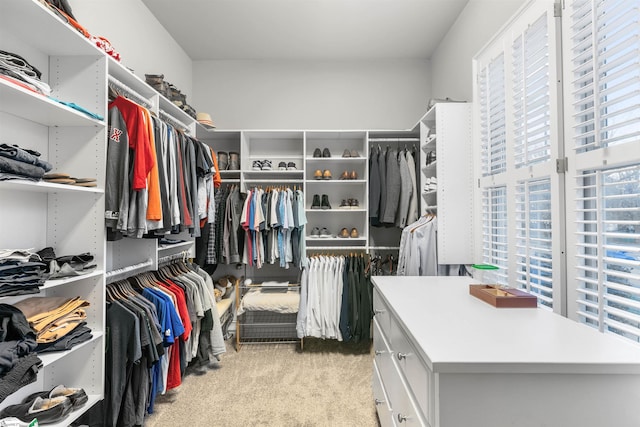 walk in closet featuring light carpet