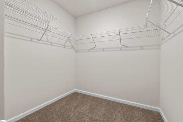 spacious closet with carpet floors