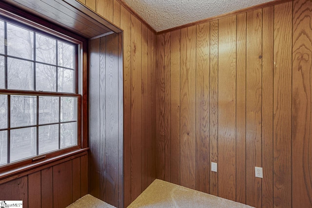 interior space with wood walls and a textured ceiling