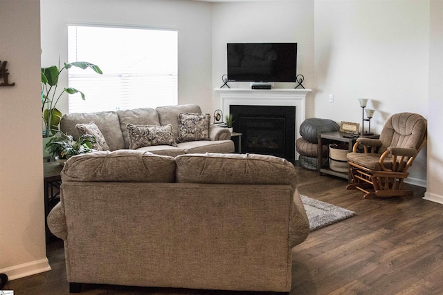 living room with dark hardwood / wood-style flooring