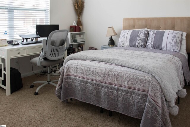 bedroom with carpet flooring