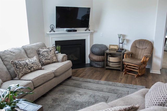 living room with dark wood-type flooring