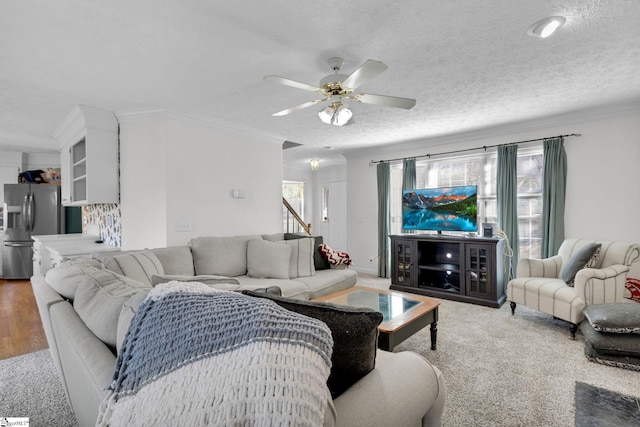 living room with ceiling fan, crown molding, wood-type flooring, and a textured ceiling