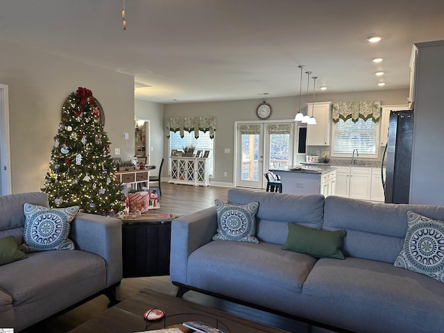 living room with hardwood / wood-style flooring and sink