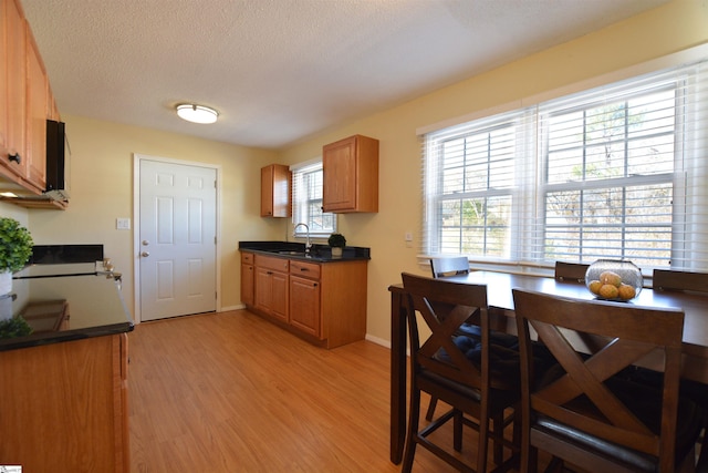 kitchen featuring light hardwood / wood-style floors, sink, and a textured ceiling