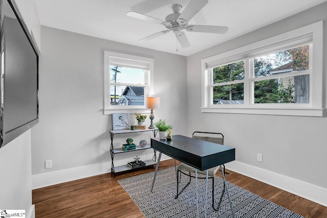 office featuring dark hardwood / wood-style flooring and ceiling fan