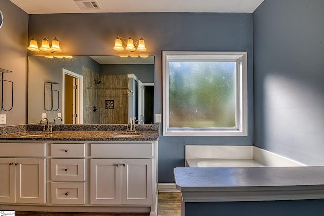 bathroom with vanity and walk in shower