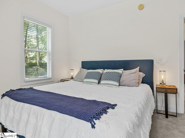 bedroom featuring carpet