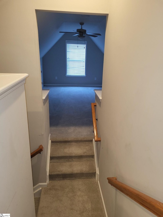 staircase with ceiling fan, carpet, and lofted ceiling