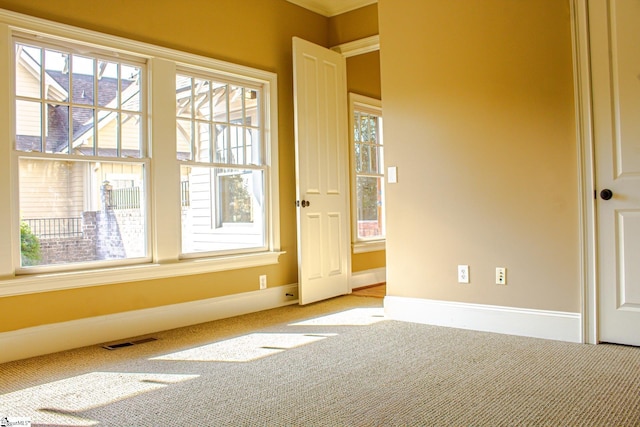 interior space with carpet