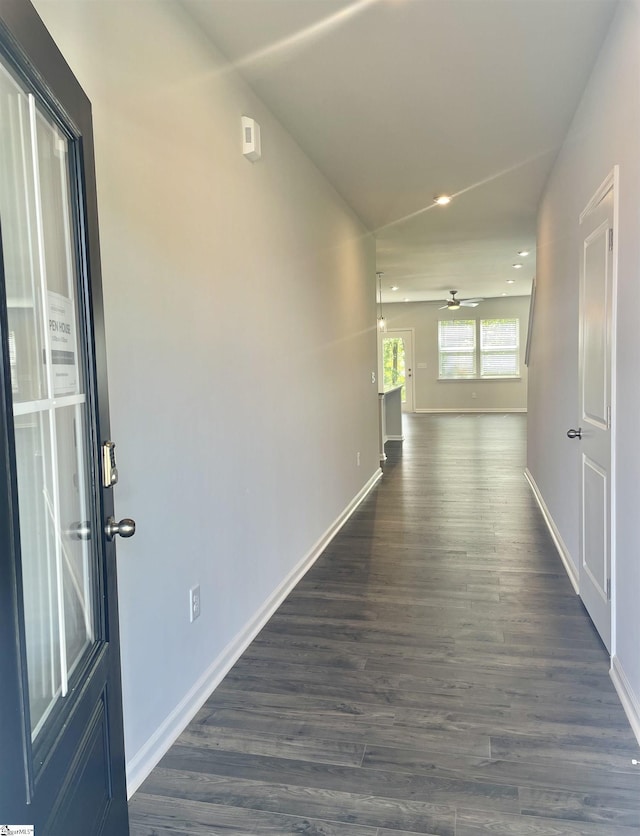 hall featuring dark wood-type flooring