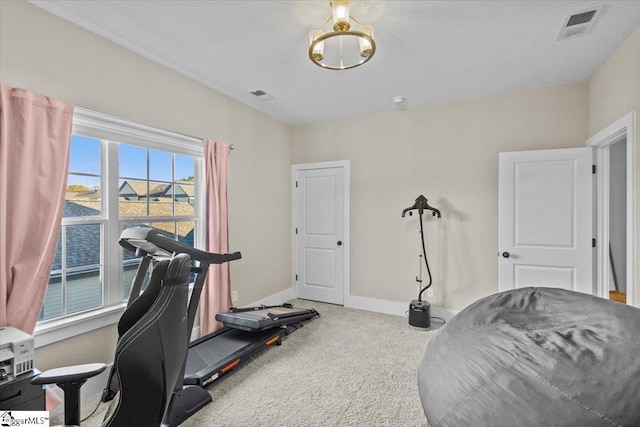 workout area featuring carpet