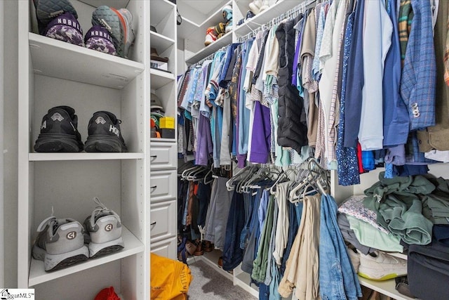 walk in closet with carpet floors