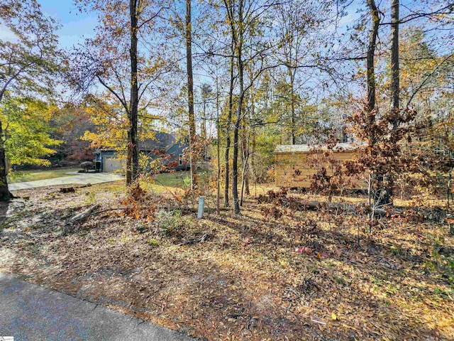 view of yard featuring a garage