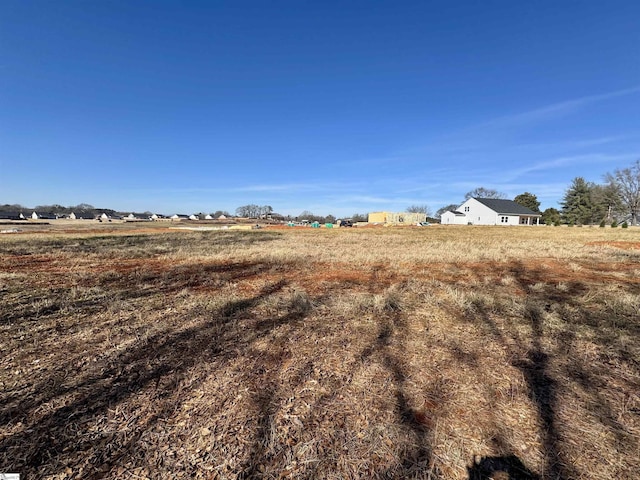 view of yard with a rural view