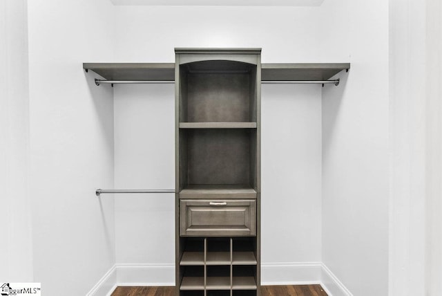 spacious closet with dark wood-type flooring