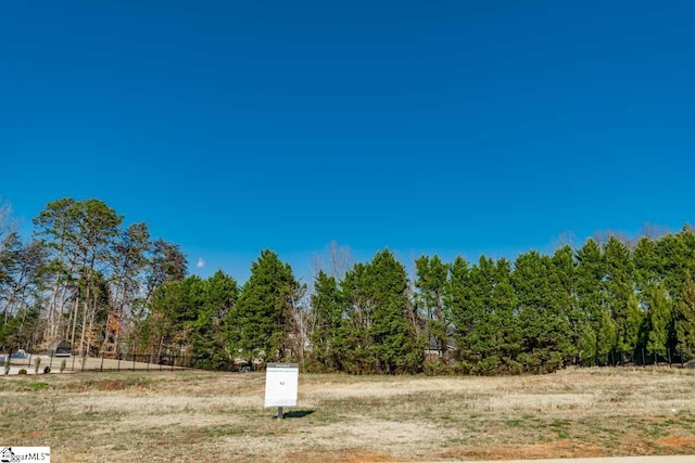 563 Adaliz Way, Greer SC, 29651 land for sale