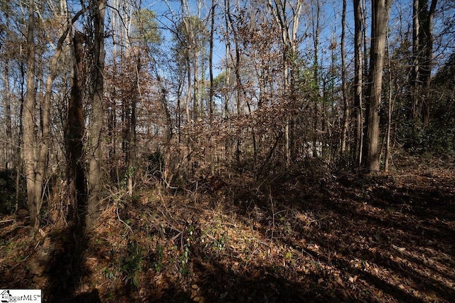 view of local wilderness