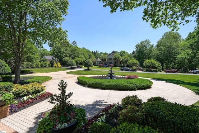 view of home's community featuring a yard