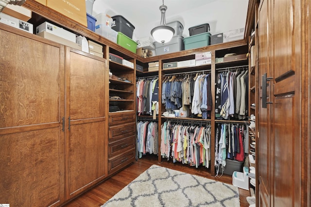 spacious closet with dark wood-type flooring