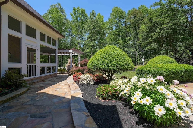 view of yard with a pergola and a patio