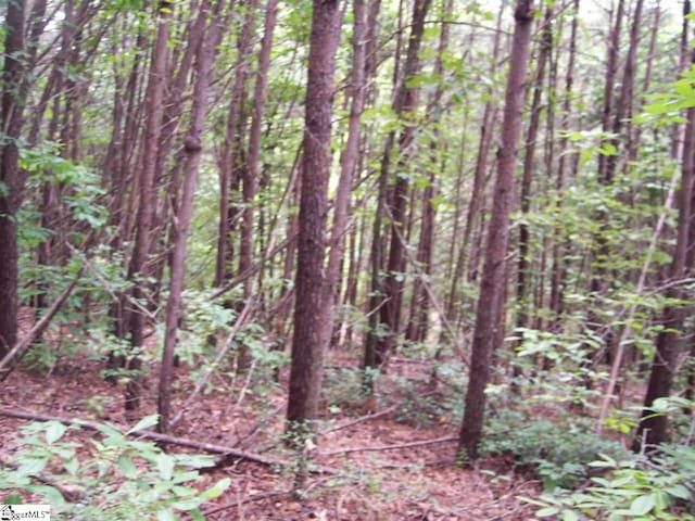 343 Gauley Falls Rd Lot 87Gauley Falls, Lot 87Gauley Falls, Pickens SC, 29671 land for sale