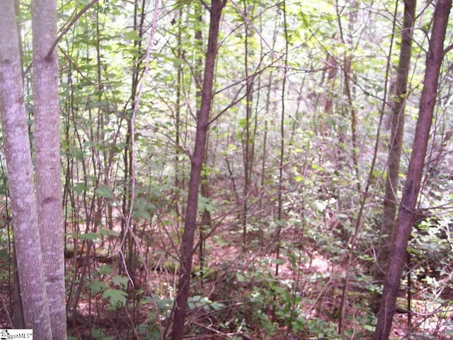 Listing photo 2 for 343 Gauley Falls Rd Lot 87Gauley Falls, Lot 87Gauley Falls, Pickens SC 29671