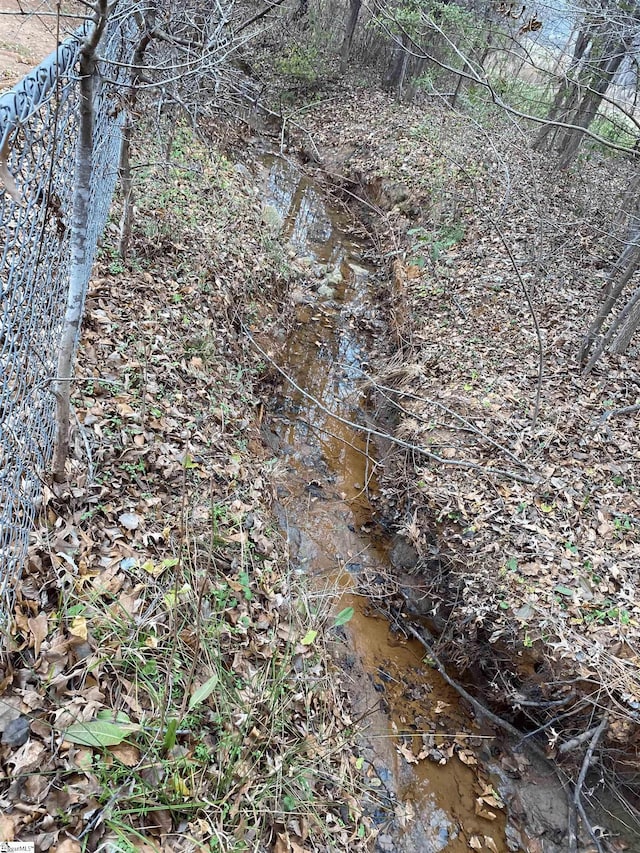 view of local wilderness