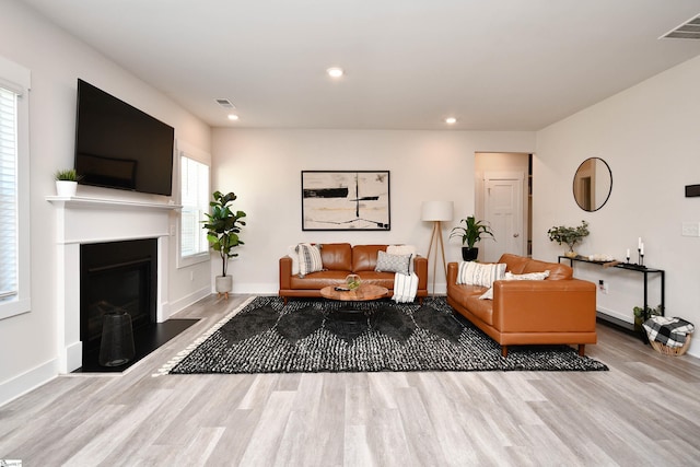 living room featuring light hardwood / wood-style flooring