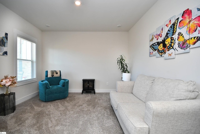 living area featuring a wood stove and carpet