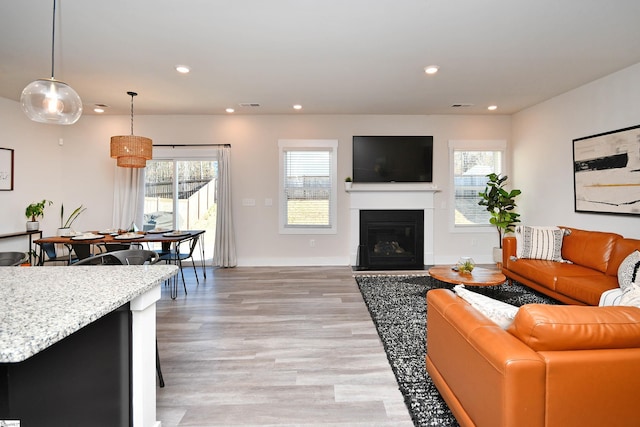 living room featuring light hardwood / wood-style floors