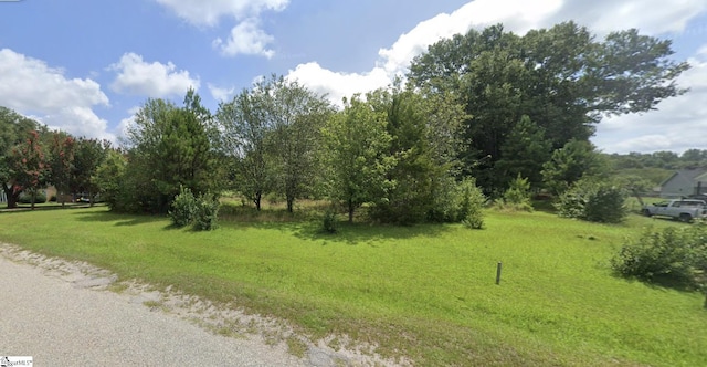 00 Blakley Ave, Laurens SC, 29360 land for sale