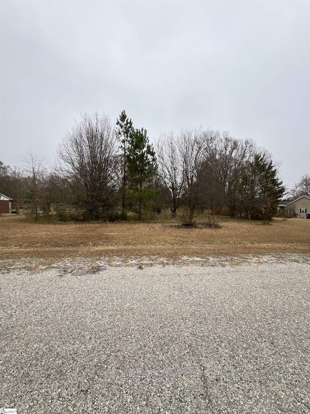 Listing photo 3 for 00 Blakley Ave, Laurens SC 29360