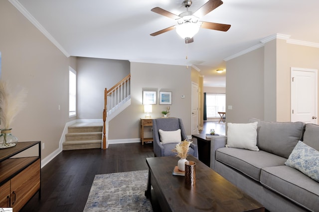 living room featuring ceiling fan, dark hardwood / wood-style flooring, and ornamental molding