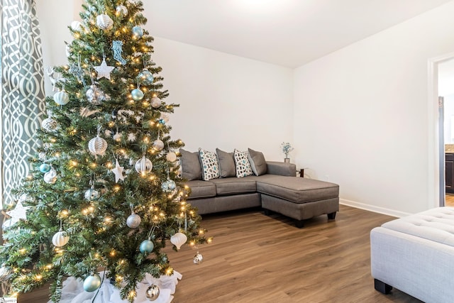 living room featuring hardwood / wood-style flooring