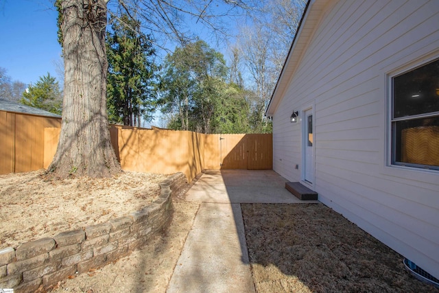 view of yard with a patio