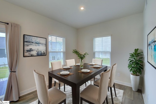 dining room featuring wood-type flooring