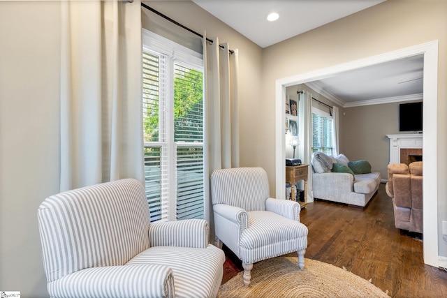 sitting room featuring dark hardwood / wood-style floors and ornamental molding