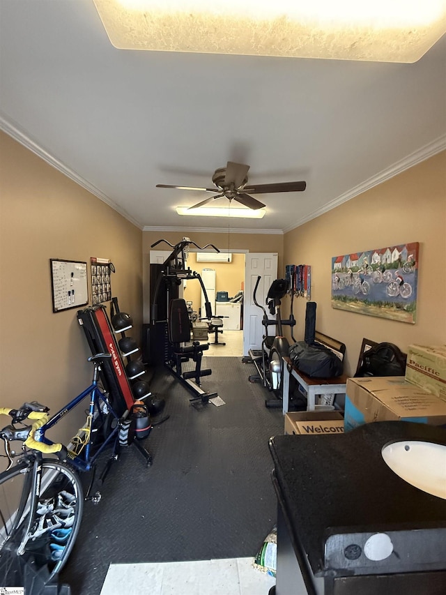 workout room featuring ceiling fan and ornamental molding