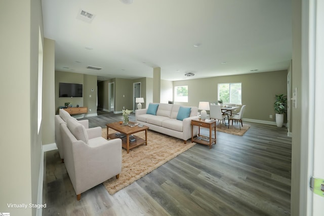 living room featuring wood-type flooring