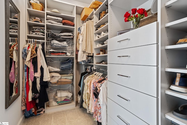 walk in closet featuring light colored carpet